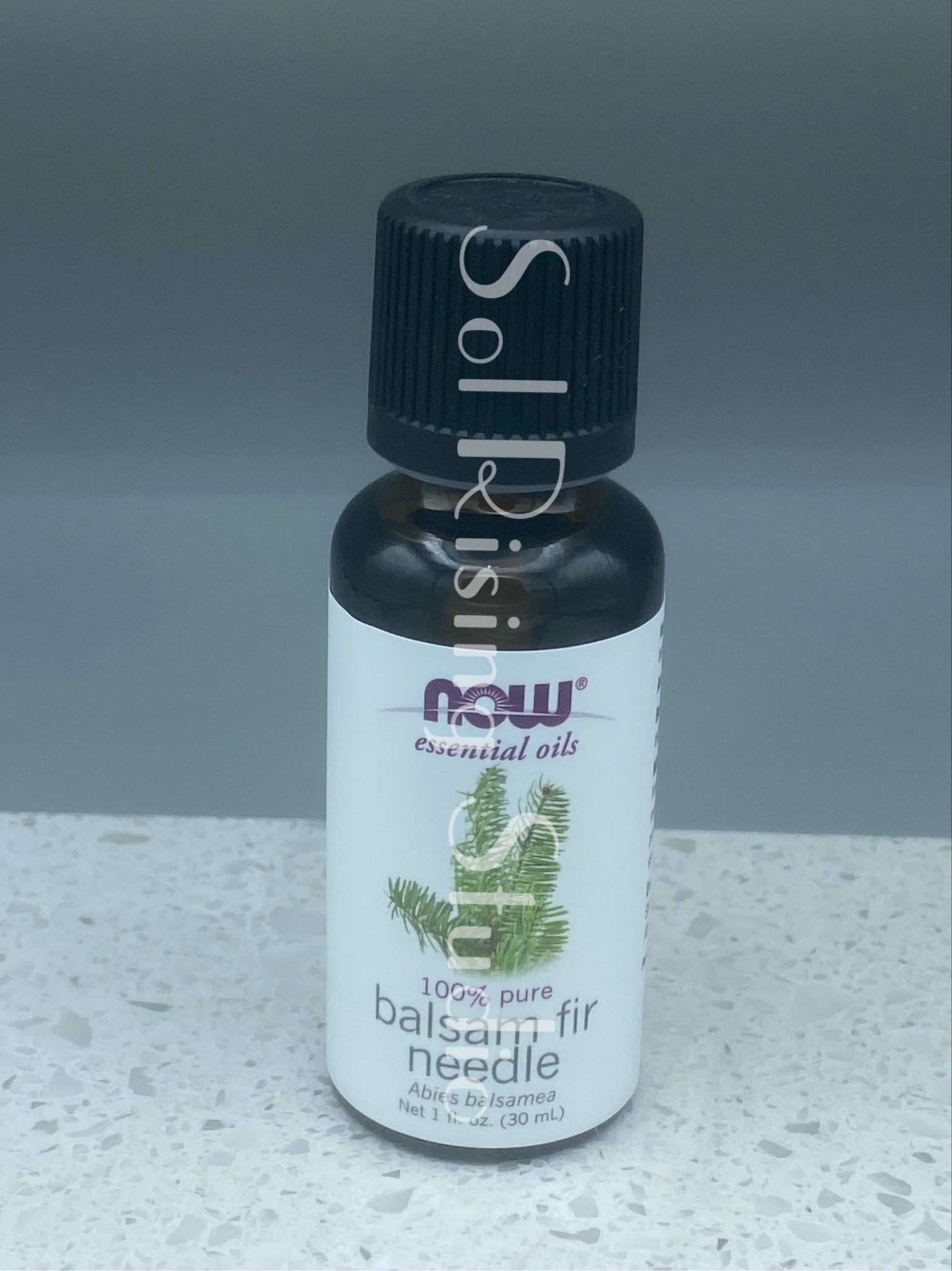 Balsam Fir Needle (Abies balsamea) NOW Essential Oil – Sol Rising, LLC
