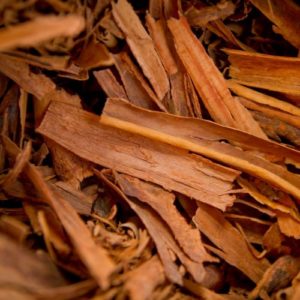Cinnamon Bark (Cinnamomum zeylanicum)